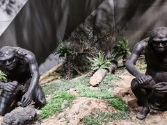 -周口店北京人遗址公园