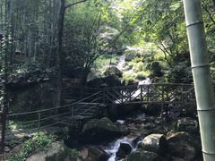 -山沟沟景区