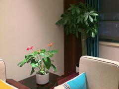 -正晴和酒店(黑龙江路店)