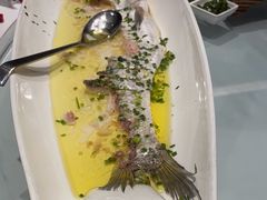 -沪碟·精菜坊(闵行店)