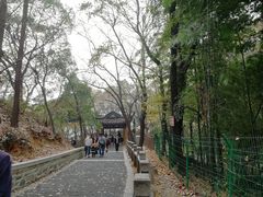 -灵岩山风景区