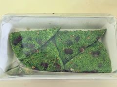 -重八牛府之小有名气(大望路店)