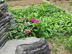 -柞水乾佑红门家菜