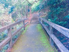 -广州市帽峰山景区