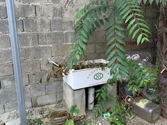 -柞水乾佑红门家菜