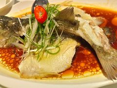 -至潮餐厅精致粤菜·活鲈鱼·走地鸡(珠江新城店)