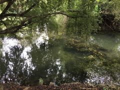 -贵阳市花溪国家城市湿地公园