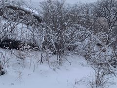 -白水寺森林公园