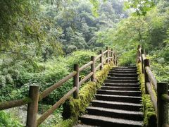 -西岭雪山大飞水景区