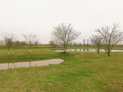 -盘龙城国家考古遗址公园