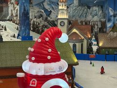 -长沙湘江冰雪世界