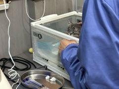 -半岛宠物医院24小时(西派城店)