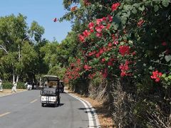 -三亚西岛海洋文化旅游区
