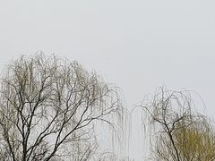 -海淀公园