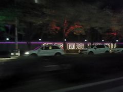 -枫花园汽车电影院(朝阳公园店)