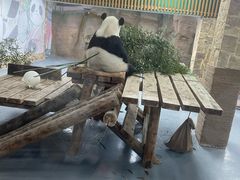 -无锡动物园·太湖欢乐园