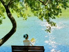 -莲花山公园