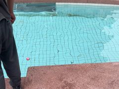 -帕帕拉兹宠物(亚洲旗舰店)