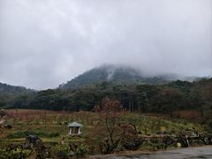 -广州市石门国家森林公园