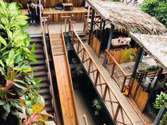 -Rainforest