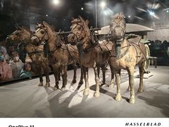 -秦始皇帝陵博物院(兵马俑)