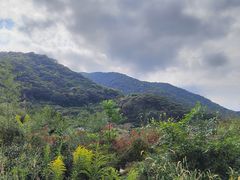 -北仑森林植物园