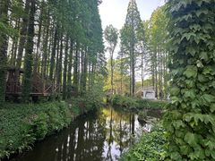 -日照海滨国家森林公园