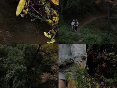 -秦岭风景区