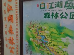 -广州白江湖森林公园