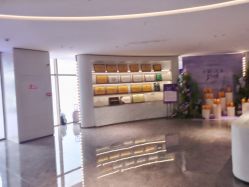 -广州美莱医疗美容医院