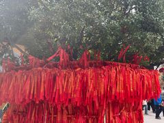 -龙华素斋(龙华路店)