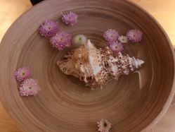 点击看大图 -栖SPA·ONDA ·海菲秀·皑皑科技美肤中心