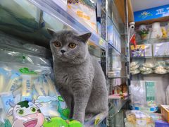 -正飞鲜奶(吐鲁番路店)