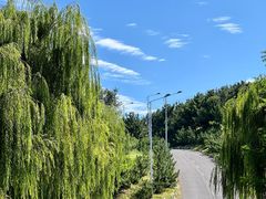 -龙口南山旅游景区