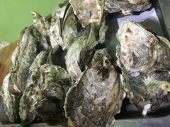 -大富蚝乌东哥饭店·石锅鱼杂·柠檬鸭(革新路店)
