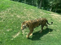 -北京野生动物园