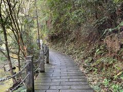 -九龙江国家森林公园