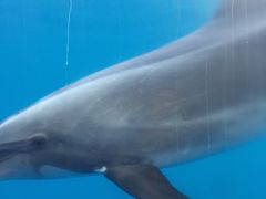 -石林冰雪海洋世界