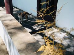 -西园戒幢律寺