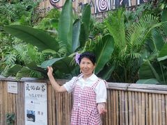 -西双版纳原始森林公园