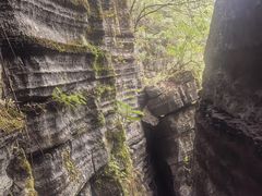 -梭布垭石林景区