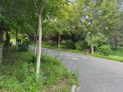 -红山国家森林公园