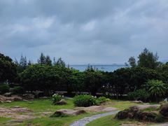 -东山风动石景区