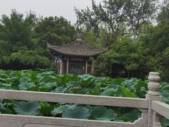 -莲湖公园