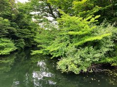 -济州森林小火车生态公园