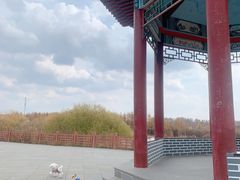 -塞罕坝国家级自然保护区