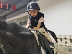 -李振强马术运动推广中心(南城店)