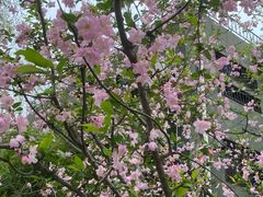 -徐家汇源景区-衡山公园