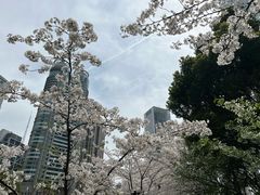 -陆家嘴中心绿地