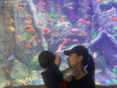 -杭州开元森泊度假乐园